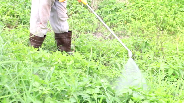 MANIPULADOR DE PRODUCTOS DE USO FITOSANITARIO (NIVEL BÁSICO) (25 horas) (Tenerife)