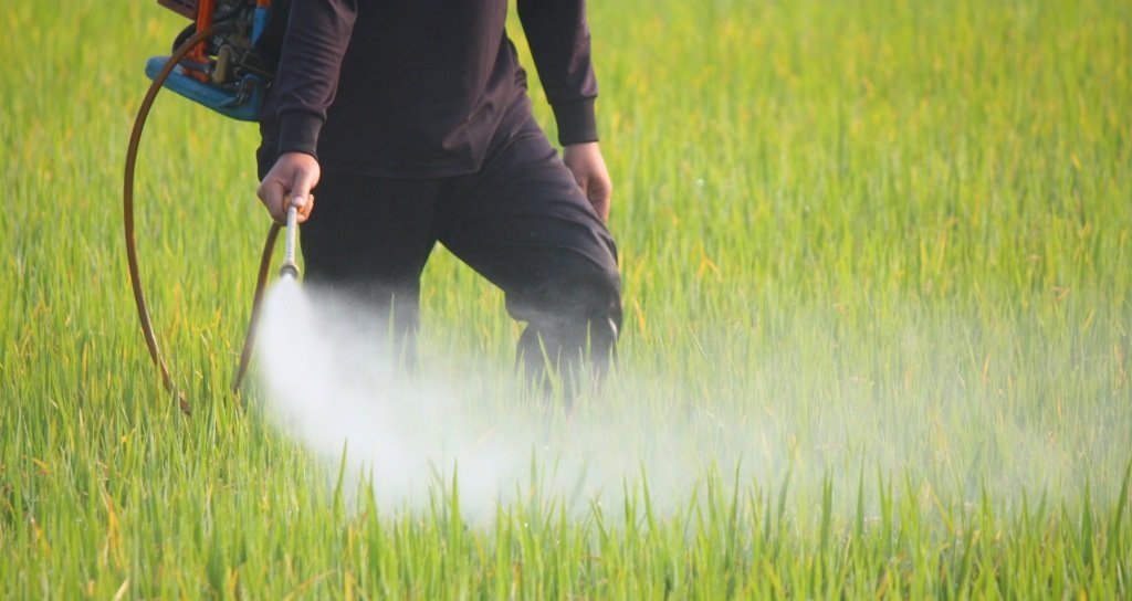 MANIPULADOR DE PRODUCTOS DE USO FITOSANITARIO (CURSO PUENTE DEL BÁSICO AL CUALIFICADO) (35 horas) (Tenerife)